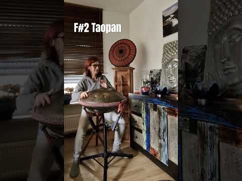 Spielerisches Erkunden der  F#2 Taopan #handpanmusic #handpan