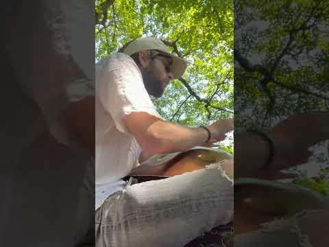 Meridian C# Pygmy 9 - Healing Waves