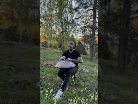 Handpan D-kurd                                #handpan #nature