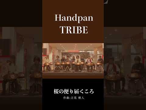 春を呼び覚ます、音のタペストリー | Handpan Tribe「桜の便り届くころ」