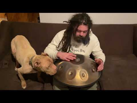 Day 70 [F1T] handpan D Kurd February 1, 2025
