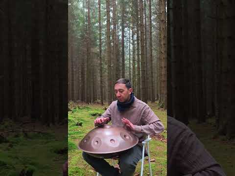 Forest Rhythm You Didn’t Know You Needed #handpan #forestvibes #meditation #nature #shorts