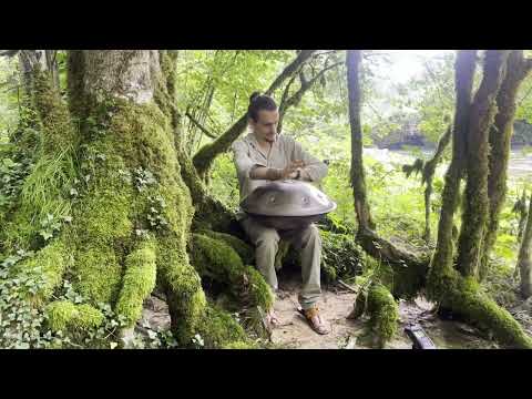 Flow of improvisation - Forest, East Of France  - Handpan Music #handpanmusic