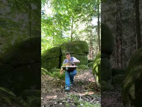 Loved | Handpan Music in the forest | Silke Baum | Blacksteel D Kurd 17