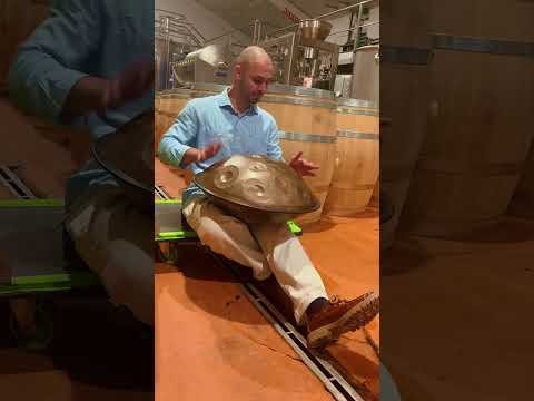 Winery reverb #handpan #music #reverb #winerytour
