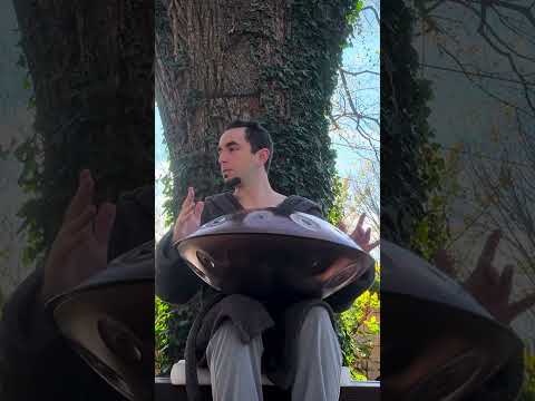 🌳 Here's your daily moment of zen under Zeus the Elm Tree ❤️ #meditationmusic #handpanmeditation