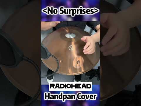 「No Surprises」- Handpan Cover #shorts #short #handpan #radioheadcover #radiohead #handpans