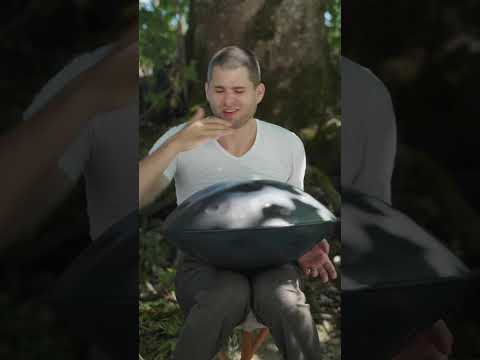 d ashakiran handpan