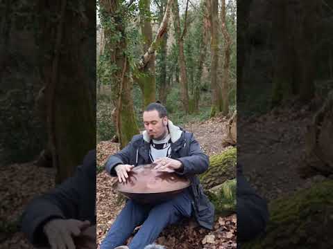 Relax with the birds #handpan #handpansound #nature #birds