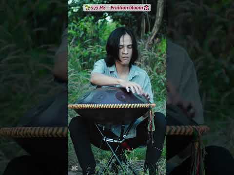 Fruition bloom | handpan music @Handpanion