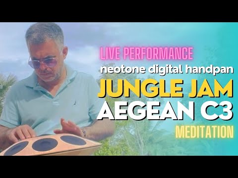 432Hz Neotone Digital Handpan Aegean C3 Jungle Jam with Art Tawanghar