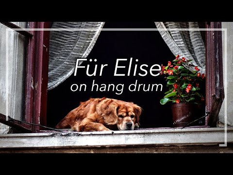 Für Elise on Hang Drum • Ludwig van Beethoven • Extended version