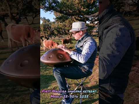 Handpan concert for the lucky cows in Fanal (Madeira)