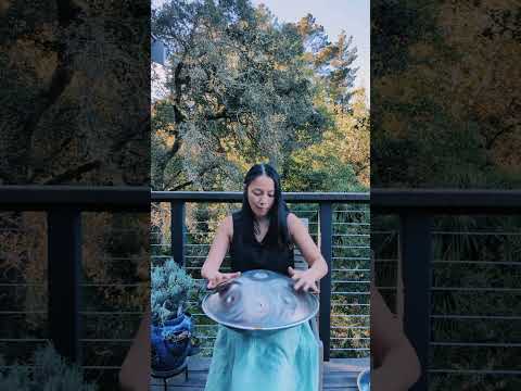 enjoying the sunshine - handpan: A-Minor/Celtic 13 Spirit Handpan