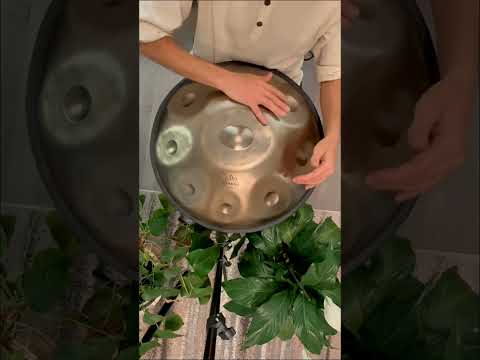 D Kurd 9 Notes Stainless Steel Silver Handpan 440 Hz | Zendō Sounds