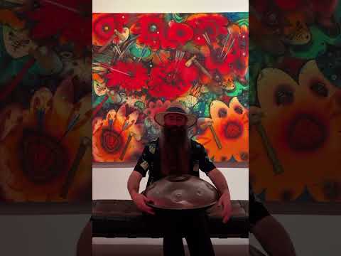 Handpan Dan at Wichita Art Museum Storytime #handpan #wam #handpandan #waroftheclans #tonyabeyta