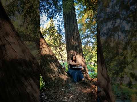 under some redwoods today #handpan #handpanmusic #naturevibes #atmosphericmusic