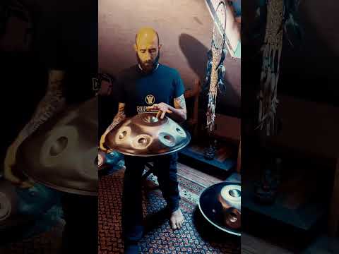 Flavio Salvaje - F2 Pygmy YISHAMA