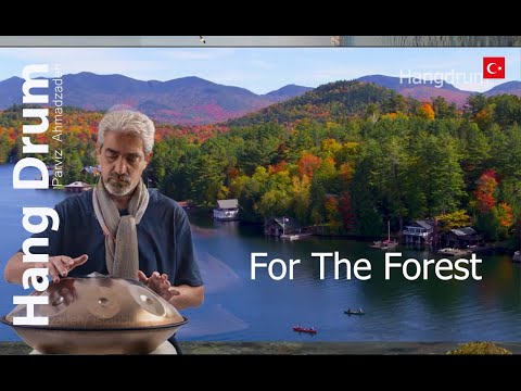 hangdrum ahmadzadeh  for the forest  2023 original music