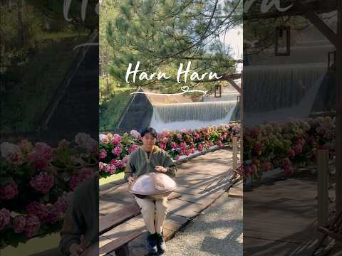 Nhạc bên thác nước 🎶 #haruharu #handpanvietnam #handpan