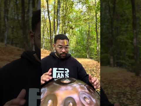Handpan | Falling Leaves | Short Version