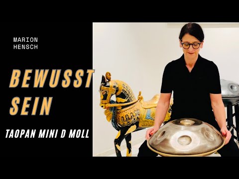 Leben ist Rhythmus! Feel The Beat And Go On| Taopan Mini D Moll Variation | Handpan Groove