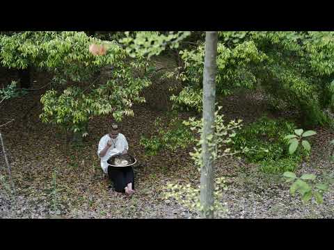 Raysen master series handpan 19 notes D Kurd