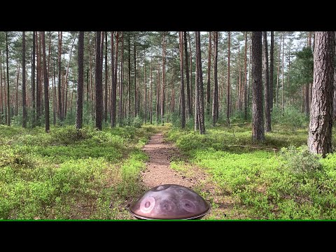Gentle waves | 30 min handpan music | Matthias Schmid