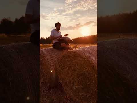 Łukasz Dembiński - D kurd 20 (sunset in Poland 🇵🇱) #handpan #handpanlover