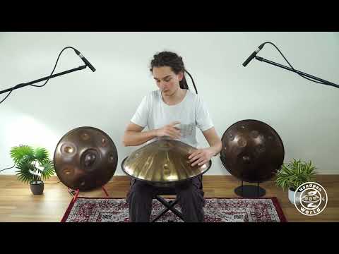 Aelo Handpan | F3 Low Pygmy 9 | Stainless Steel | 440Hz | F3/ G Ab C Eb F G Ab