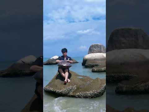 兩分鐘，帶你體驗手碟音樂的自由感！ 在錄製《洛克王國》影片的海灘錄製的一些小作品開工前，必須得背著手碟到處跑一跑嘛！