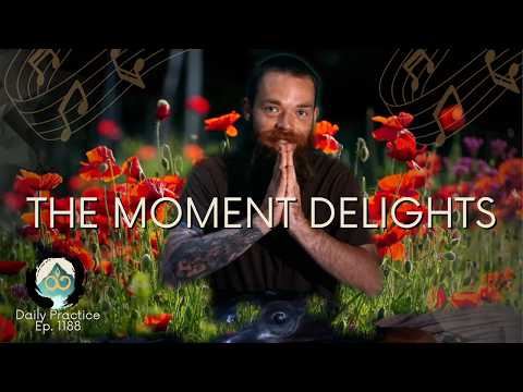 Being Here-Now Feels Good | Guided Breathwork Meditation | Ep. 1188