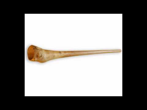 Didgeridoo cost