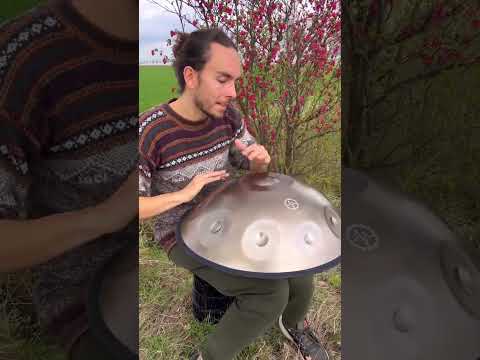 BeatRise 「StarSonic」Series - D Kurd 10 - Gold - Marius #shorts #short  #handpan #handpandrum