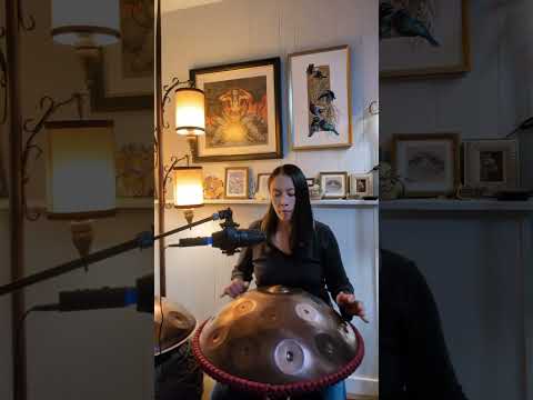 Handpan Flow - c# harmonic minor 22 Handromeda