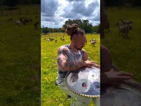 Enjoy ❤️❤️ #handpan #music #artist #soulful #mesmerizing #feel #vibe