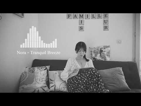 高雄鼓道場 Beat of Kaohsiung - Tranquil Breeze |Cozy Lofi Beats / Focus Music for Work and Studying