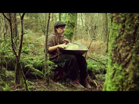 Forest Handpan to Ease the Mind...