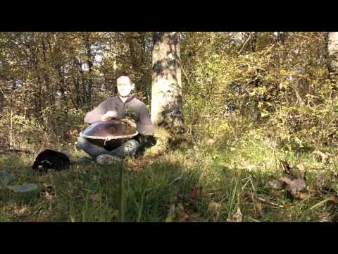 Taming the Shrew Mouse - Jean-Matthieu Bourgeot - Meraki Kurd+C Kurd9 - Handpan no PANArt Hang (HD)