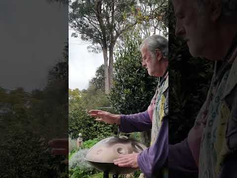 Bird Song