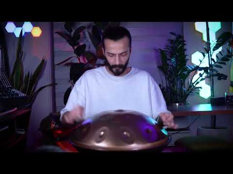 Forest Healing (369 Hz) | 1 hour handpan music | Amin Shahbazi