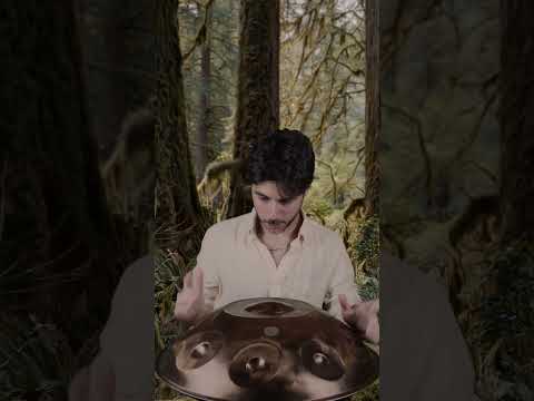 Where Will This Melody Lead? 🌿 | Planet Ding