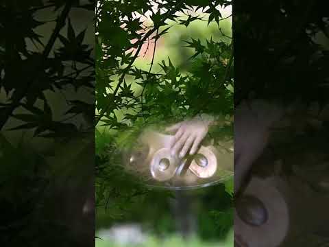 Fresh Green Maple Leaves — A Bright Handpan Meditation | Asato Tachibana