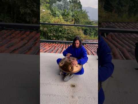 Handpan in D Hijaz 🛸 #handpan #hangdrum #nature #naturelovers #meditationmusic
