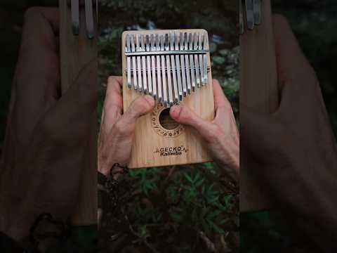 Lets play kalimba in a unique nature 🌱 #shorts #kalimba