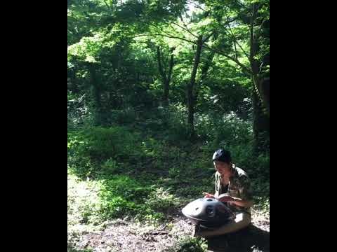 핸드팬(Handpan) 연주 - 비자림