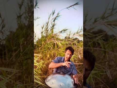 On the hills of the maremma | Alwin Steinle | Handpan La Sirena #handpan #handpanmusic #music