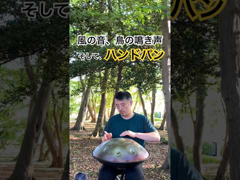 風の音、鳥の鳴き声。そして、ハンドパン #ハンドパン #handpan #handpanmusic #hangdrum #寝落ち音楽 #癒しの音楽 #ヒーリングミュージック