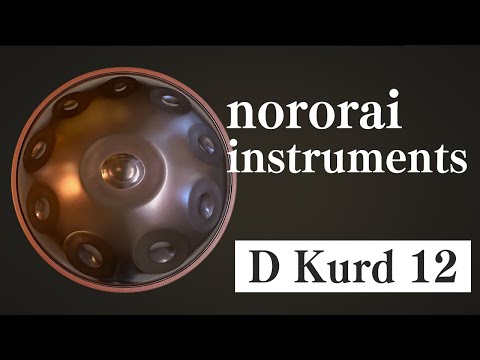 【ハンドパン販売】nororai instruments / D Kurd 12 (試奏1)