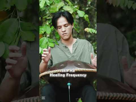 Tranquil realm | handpan music @Handpanion